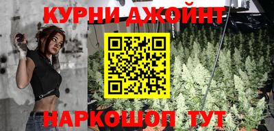 PSILOCYBIN Будённовск