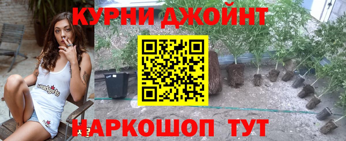 Бошки Шишки гибрид  Конопля сатива  Арсеньев  Вход с VPN 
